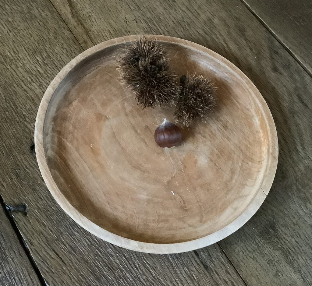 Wooden plate with sweet chestnut casings, and a sweet chestnut.